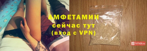 стаф Козловка