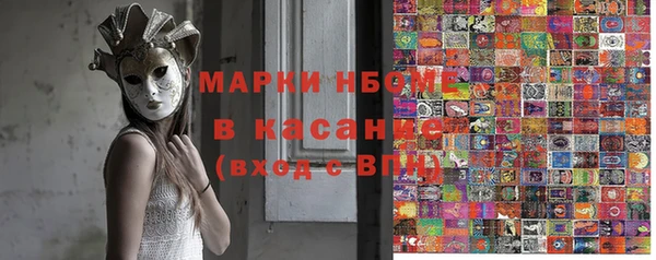 стаф Козловка
