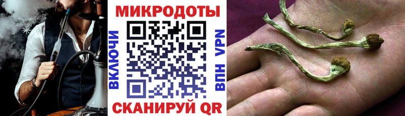 купить Красноуфимск MEGA ONION Псилоцибиновые грибы Psilocybe